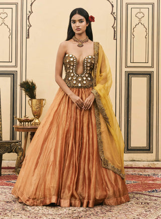 Tamra mustard jewel corset lehenga set