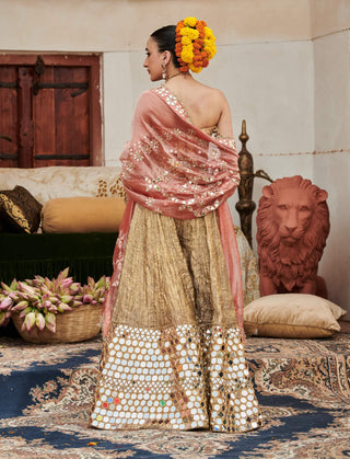 Savrna aayna gold sharara set