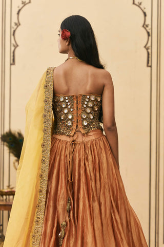 Tamra mustard jewel corset lehenga set