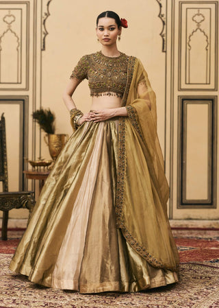 Navratan indian craft jewel lehenga set