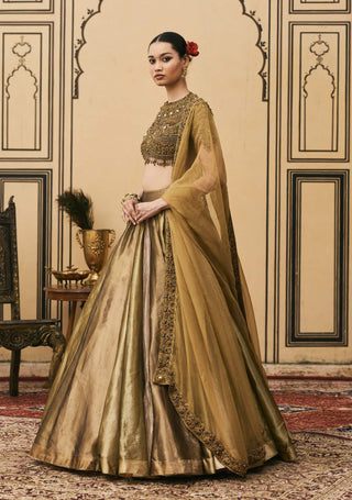 Navratan indian craft jewel lehenga set