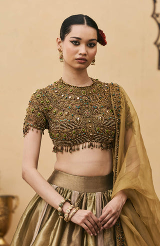 Navratan indian craft jewel lehenga set