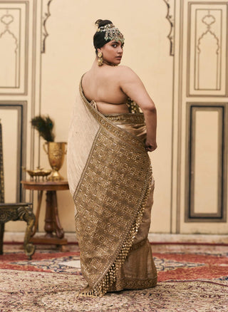 Antika gold metal corset sari set