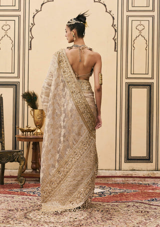 Rajat silver gray metal sari set