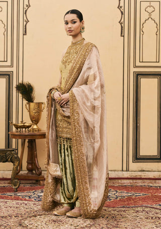 Hari velvet halter farshi set