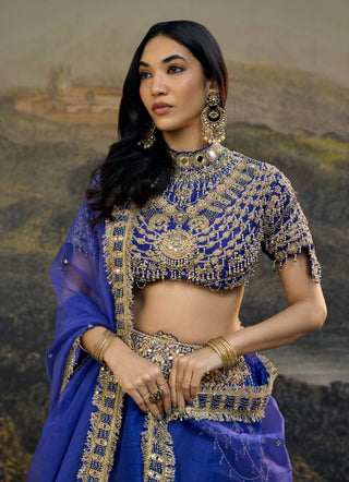 Rhea electric blue lehenga set