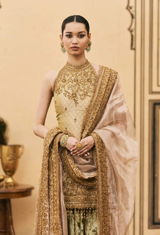 Hari velvet halter farshi set