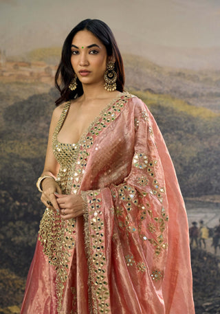 Gulbahar pink mirror sharara set