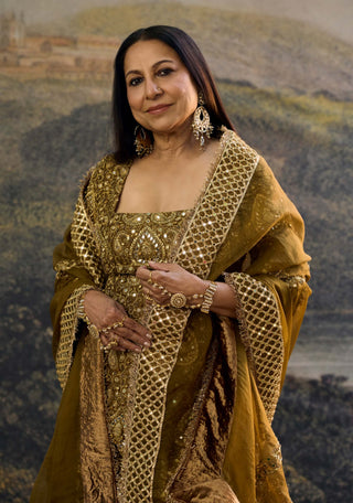 Zivara brown sharara set