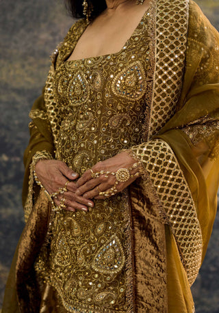 Zivara brown sharara set