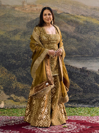 Zivara brown sharara set