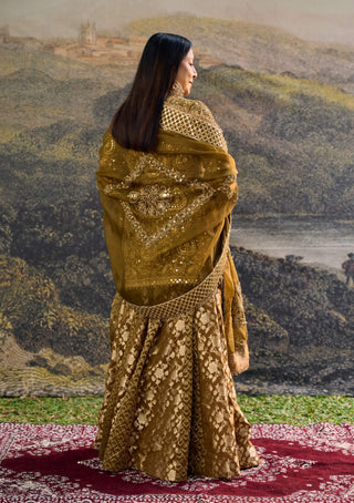 Zivara brown sharara set