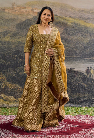 Zivara brown sharara set