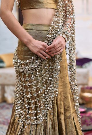 Bronze mandira lehenga set