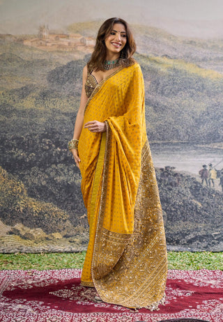 Pehr yellow plum crepe sari and blouse