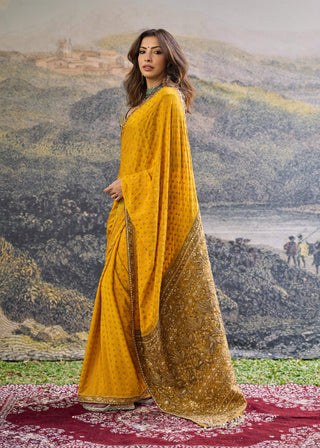 Pehr yellow plum crepe sari and blouse