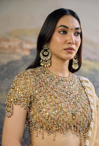 Kahani butter yellow jadau organza sari and blouse