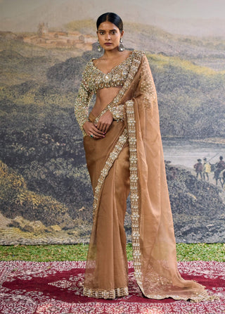 Varnika brown sari and blouse