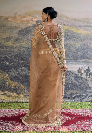 Varnika brown sari and blouse
