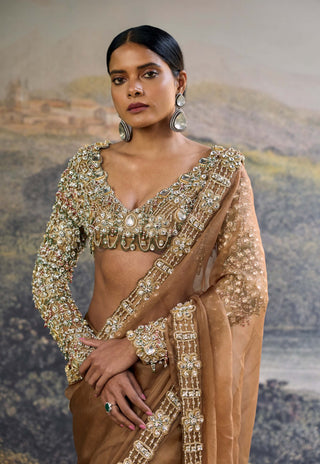 Varnika brown sari and blouse