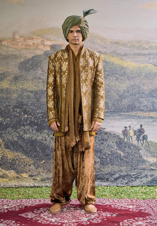 Zarvika olive brown brocade open jacket set