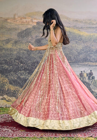 Gulbahar pink mirror lehenga and blouse