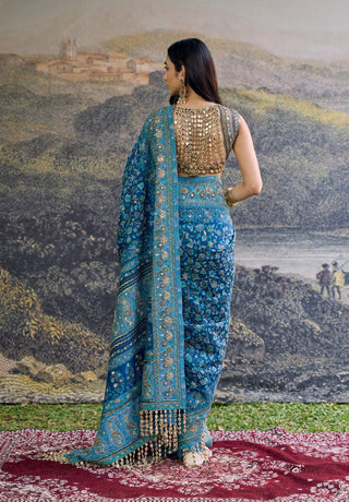 Neelambari blue sari and blouse