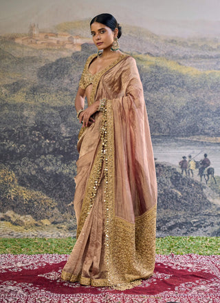 Trinaya brown sari and blouse