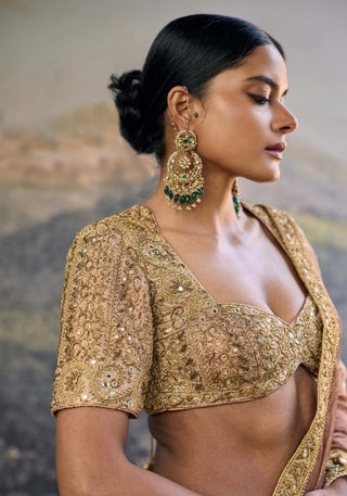 Trinaya brown sari and blouse