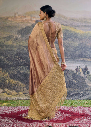 Trinaya brown sari and blouse