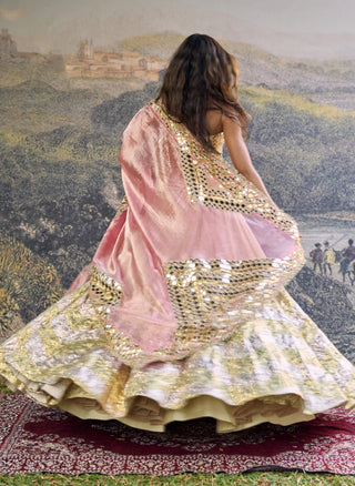 Sunehri roshan gold pink mirror lehenga set