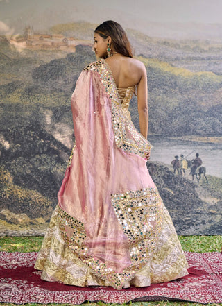 Sunehri roshan gold pink mirror lehenga set