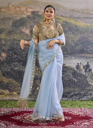 Neelambari powder blue sari and blouse