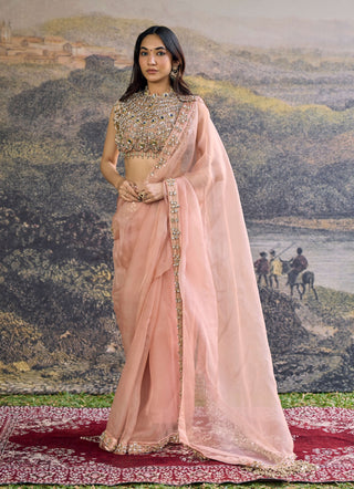 Padmika peach sari and blouse