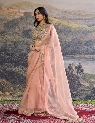 Padmika peach sari and blouse