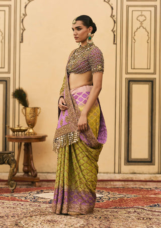 Jambavan ombre georgette sari set