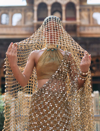Bronze mandira lehenga set