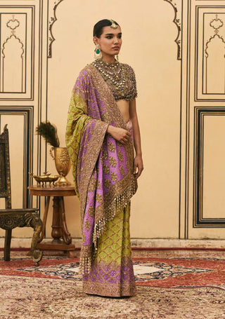 Jambavan ombre georgette sari set