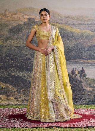 Rang mahal multicolour mirror lehenga set