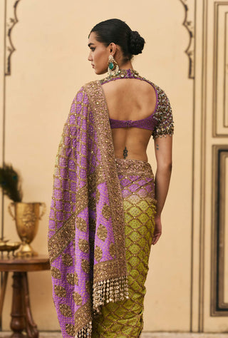 Jambavan ombre georgette sari set