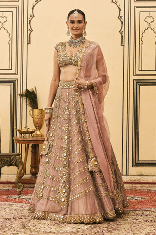 Raani haar pink heirloom lehenga set