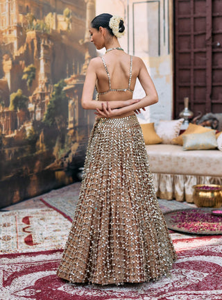 Dark gold titeeksha lehenga and blouse