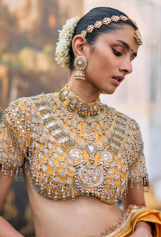 Yellow rajrekha sari and blouse