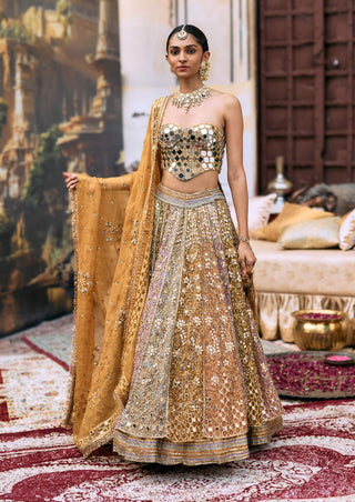 Multicolor apeksha lehenga set