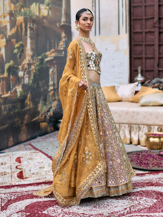 Multicolor apeksha lehenga set