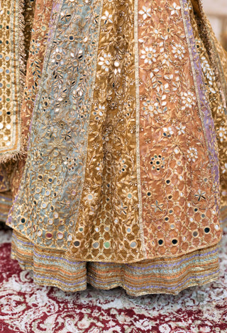 Multicolor apeksha lehenga set