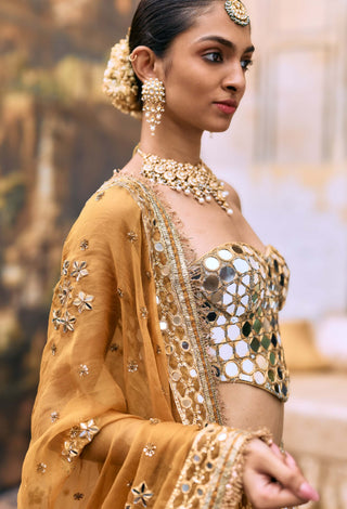 Multicolor apeksha lehenga set