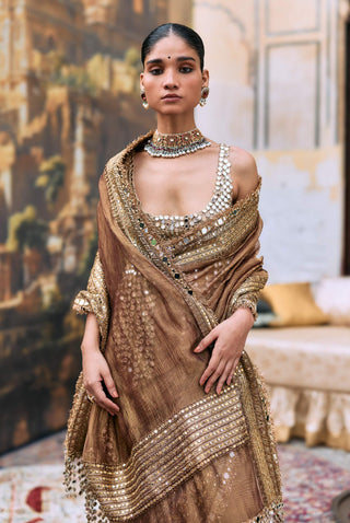 Brown manjusha sari and bra top