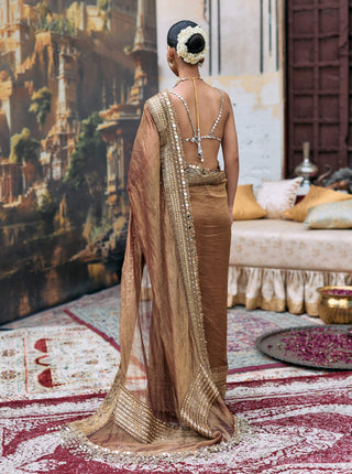 Brown manjusha sari and bra top