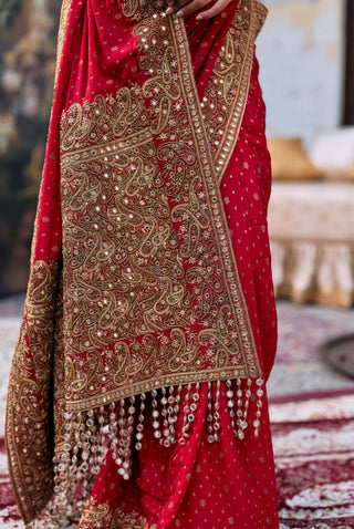 Red surangana sari and blouse